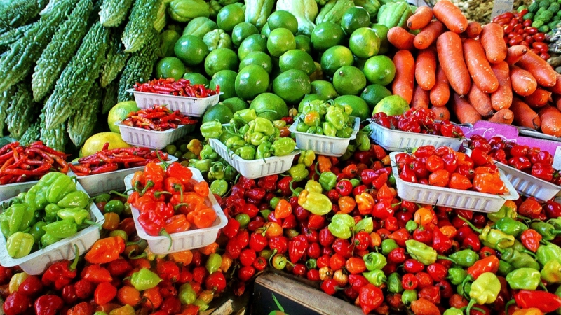 primeur-LE VAL-min_farmers-market-1329008